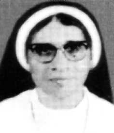 Victoria Pattimakkil