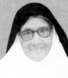 Fulgaria Karthapuzha